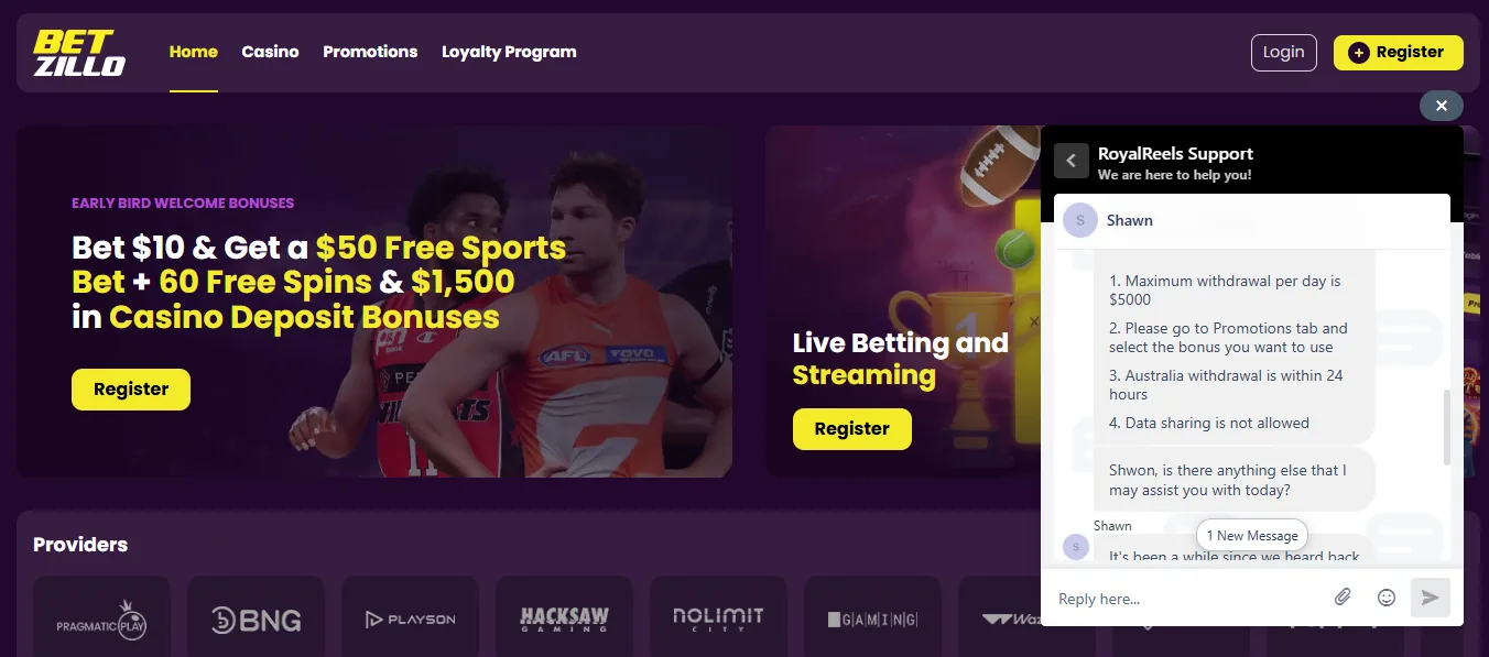 Screenshot of Betzillo's live chat support window