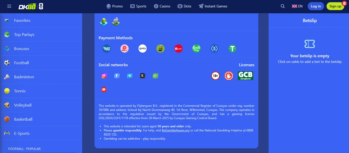 Screenshot of Dashking88's cashier and payment methods