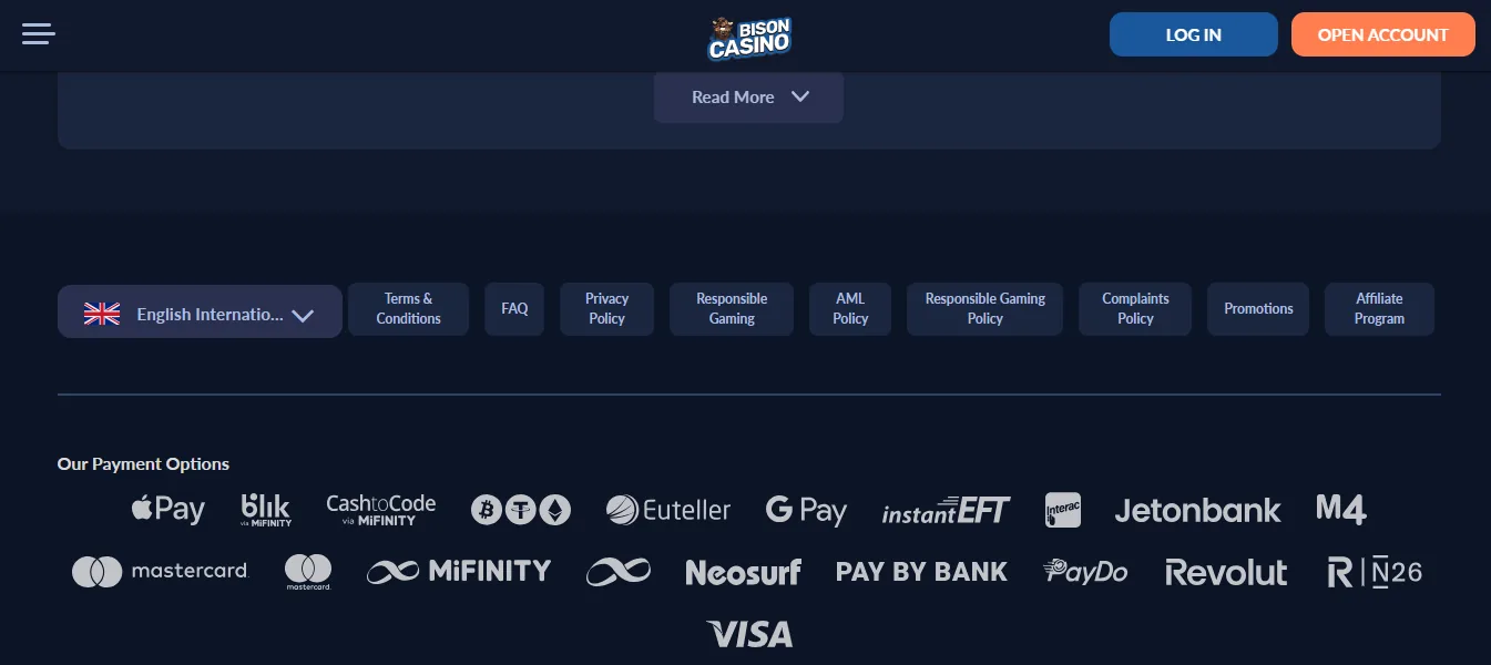 Screenshot of Bison's cashier and payment methods
