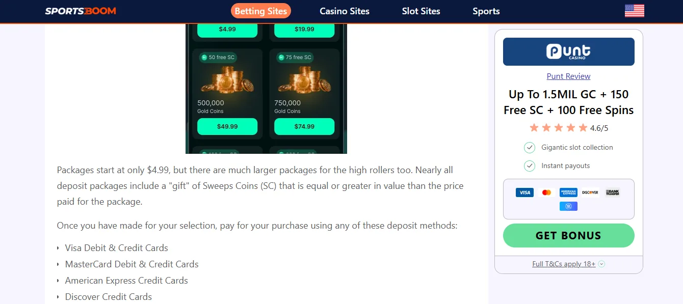 Screenshot of Puntpal's cashier and payment methods