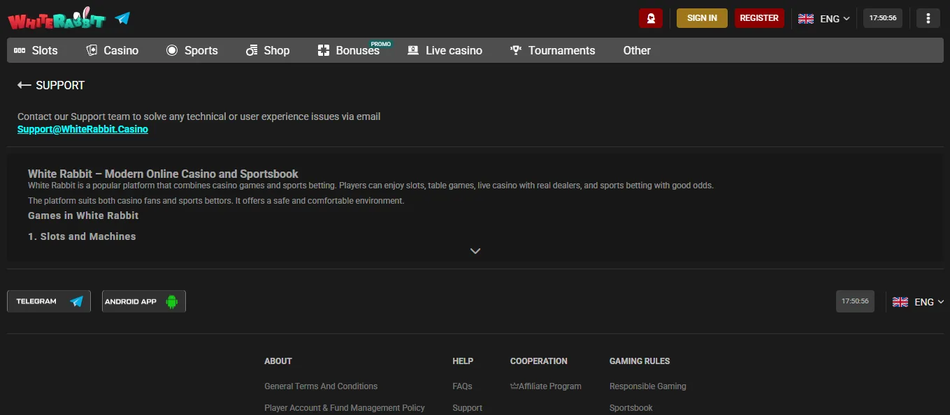 Screenshot of White Rabbit's live chat support window