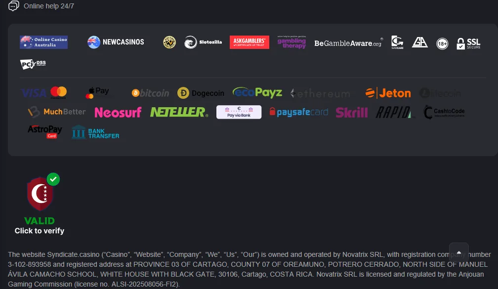 Screenshot of Syndicate Casino's cashier and payment methods
