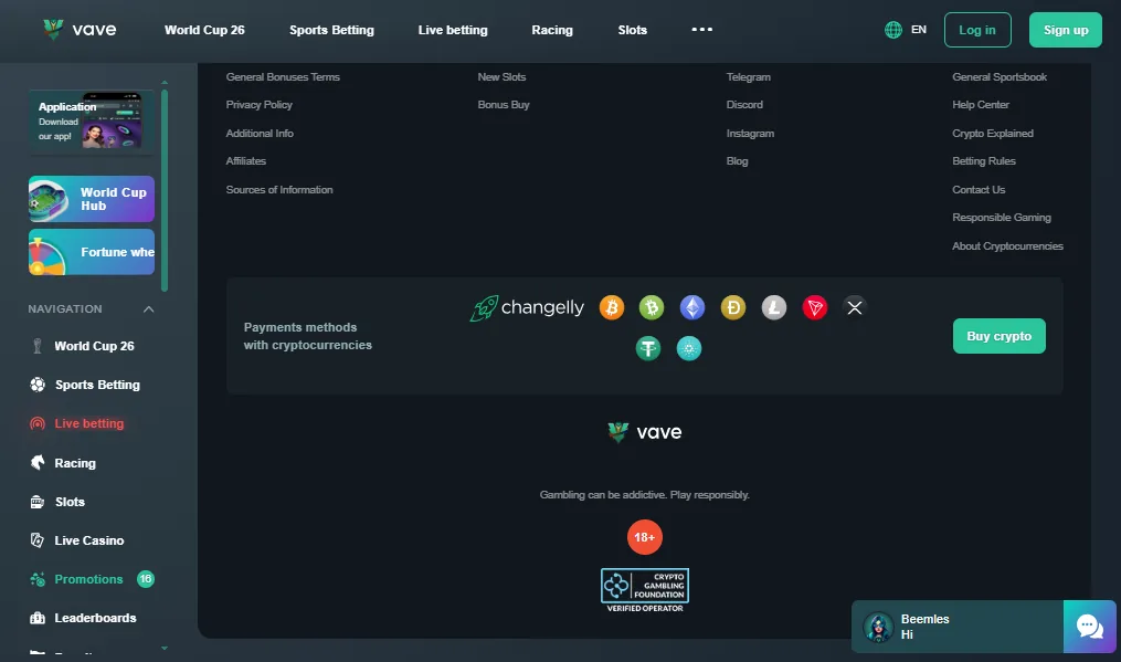 Screenshot of Vave's cashier and payment methods