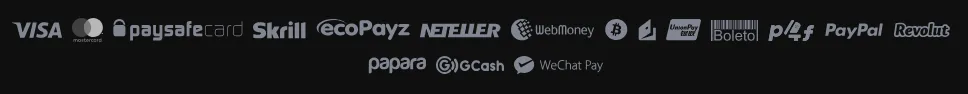 Screenshot of Egaming Bets's cashier and payment methods