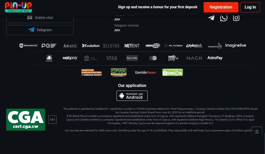 Screenshot of Pin-Up's cashier and payment methods