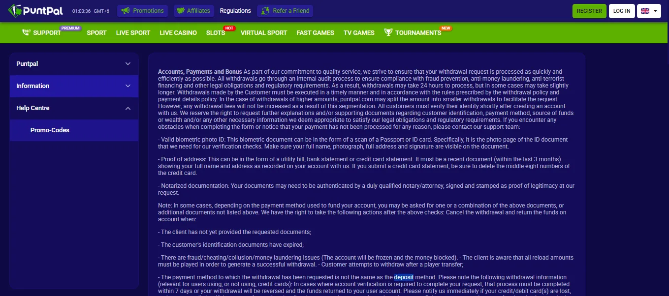 Screenshot of PuntPal's cashier and payment methods
