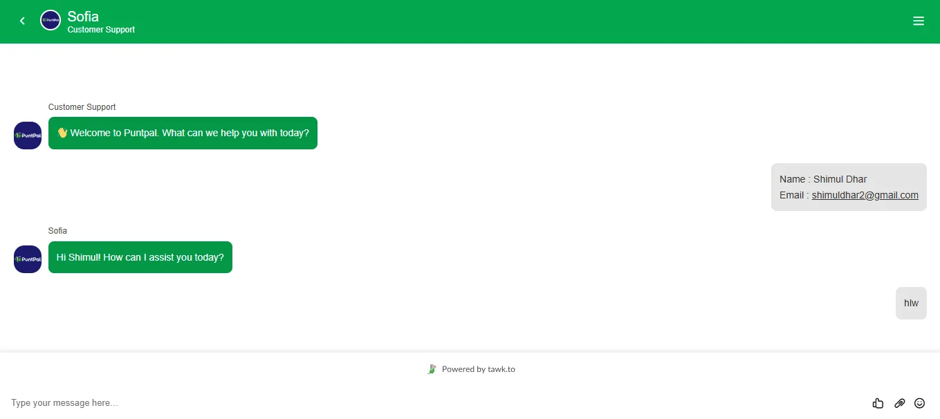 Screenshot of PuntPal's live chat support window